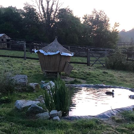 Manerbe Le Champ Des Possibles B&B 외부 사진