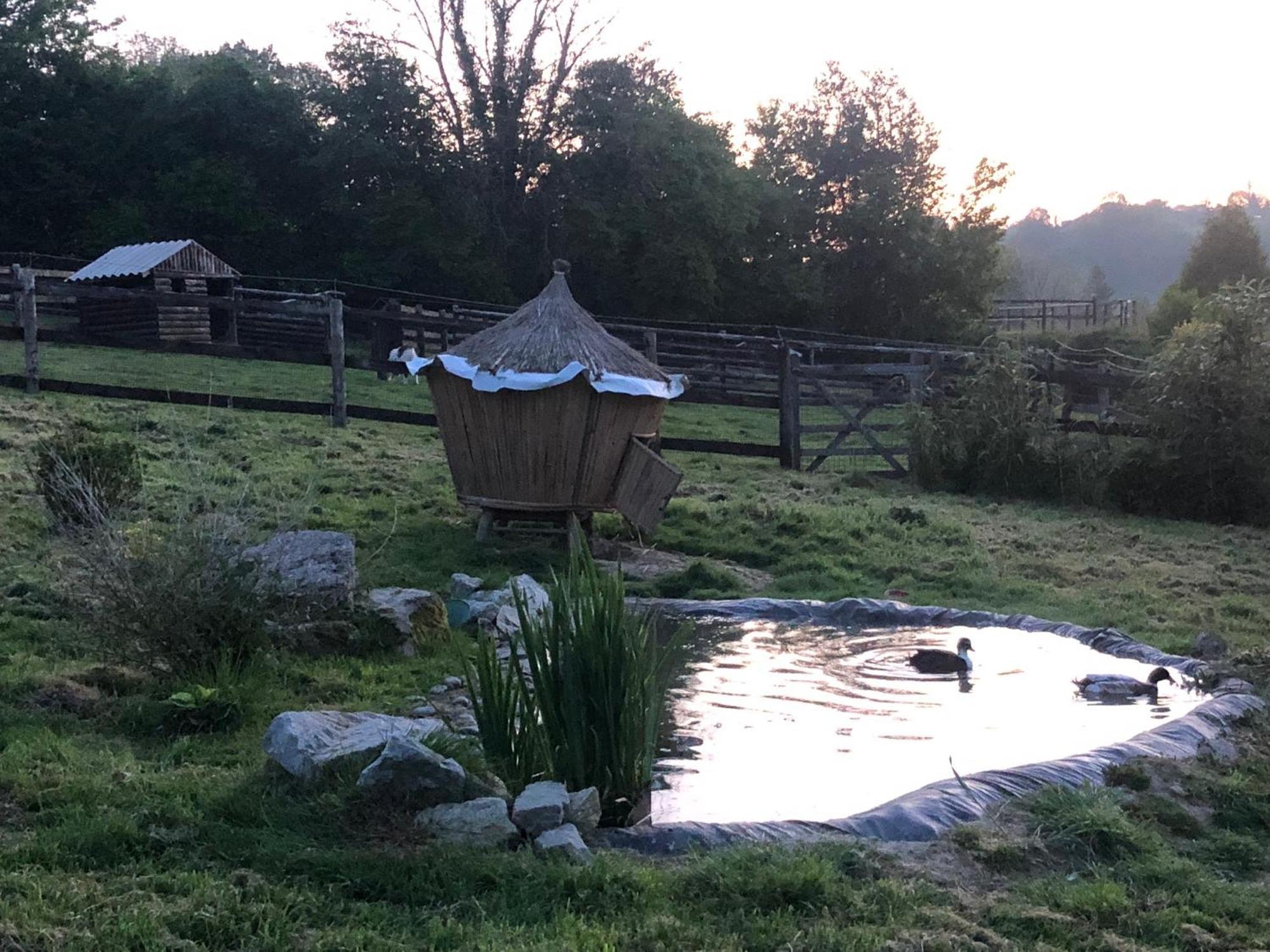 Manerbe Le Champ Des Possibles B&B 외부 사진