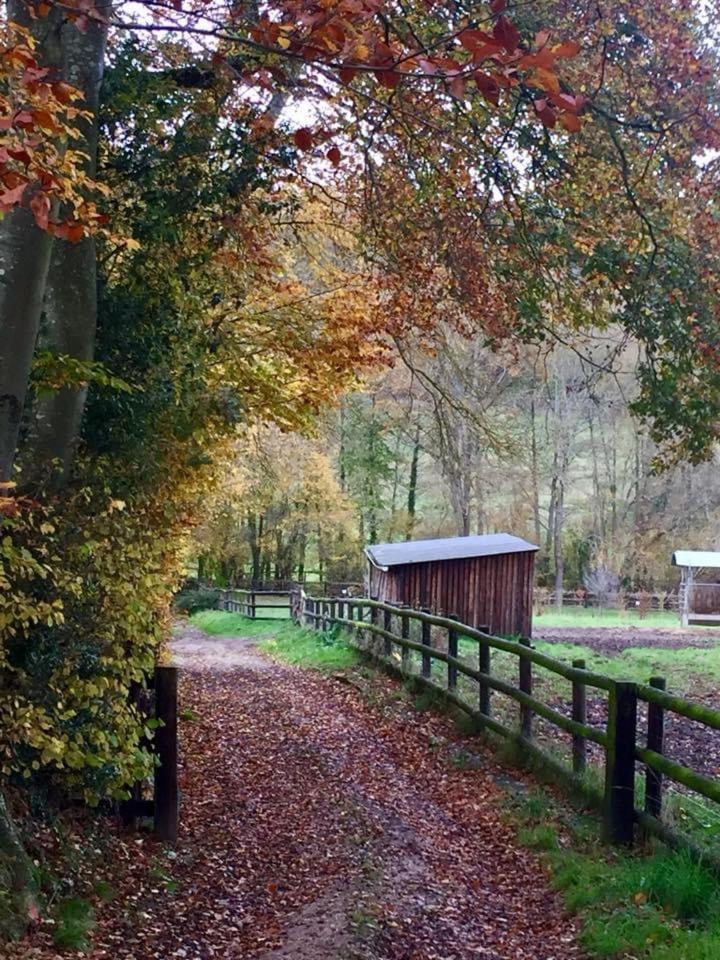 Manerbe Le Champ Des Possibles B&B 외부 사진
